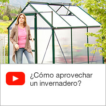 ¿Cómo aprovechar un invernadero?