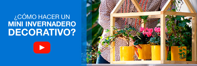 ¿Cómo hacer un mini invernadero decorativo?