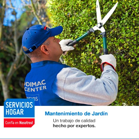 Mantenimiento de jardín: Un trabajo de calidad hecho por expertos