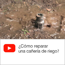 ¿Cómo reparar una cañería de riego?