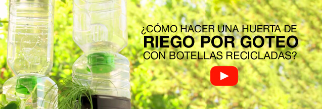 ¿Cómo hacer una huerta de riego por goteo con botellas recicladas?