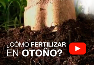 ¿Cómo fetilizar en otoño?