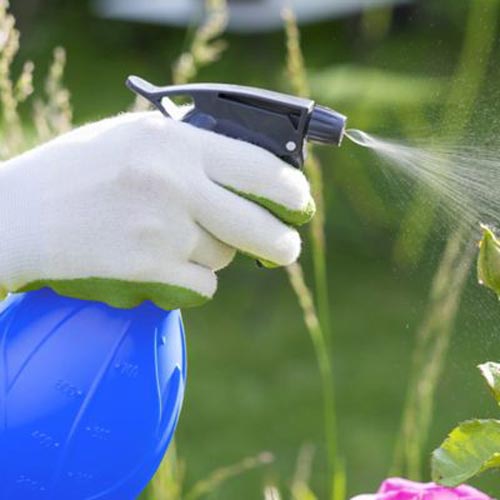 como-elegir-chipeadora-insumos-de-jardin.jpg