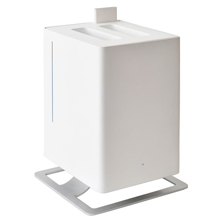 como-elegir-purificador-de-aire-humidificador.jpg