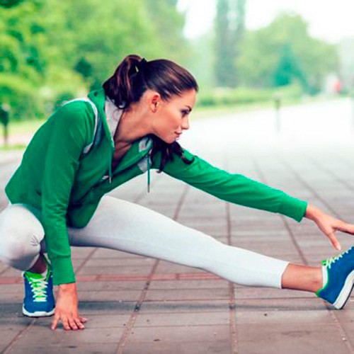 guia-como-cuidar-y-mantener-sano-a-mi-pajaro-categoria-relacionada-fitness.jpg