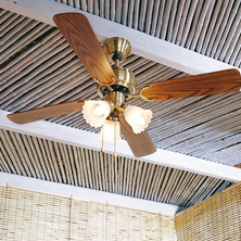 Ventilador de techo