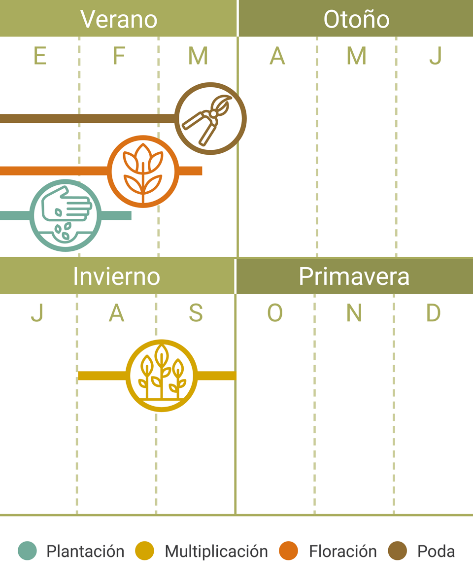 Calendario Tareas Albahaca