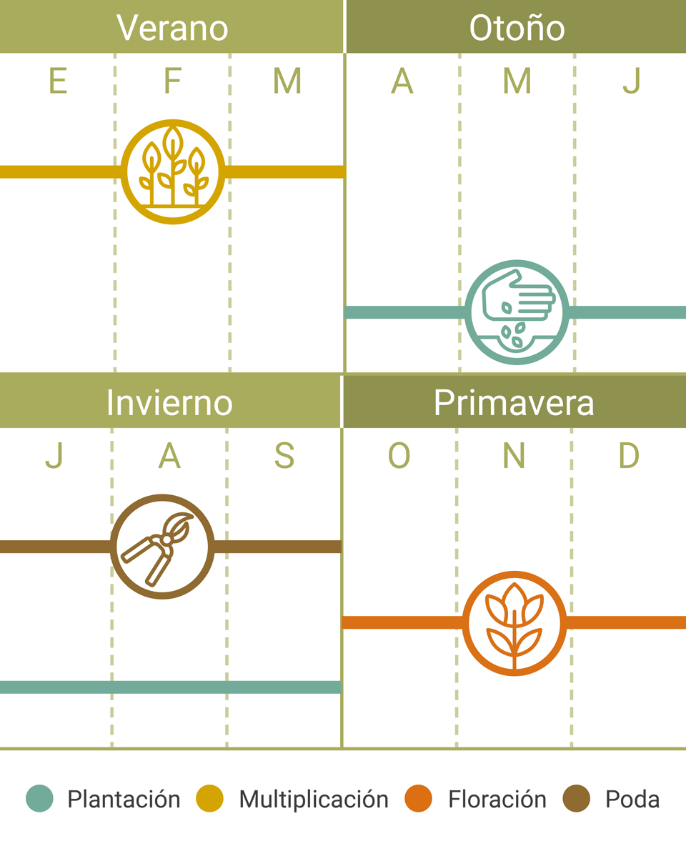 Calendario Tareas Aralia