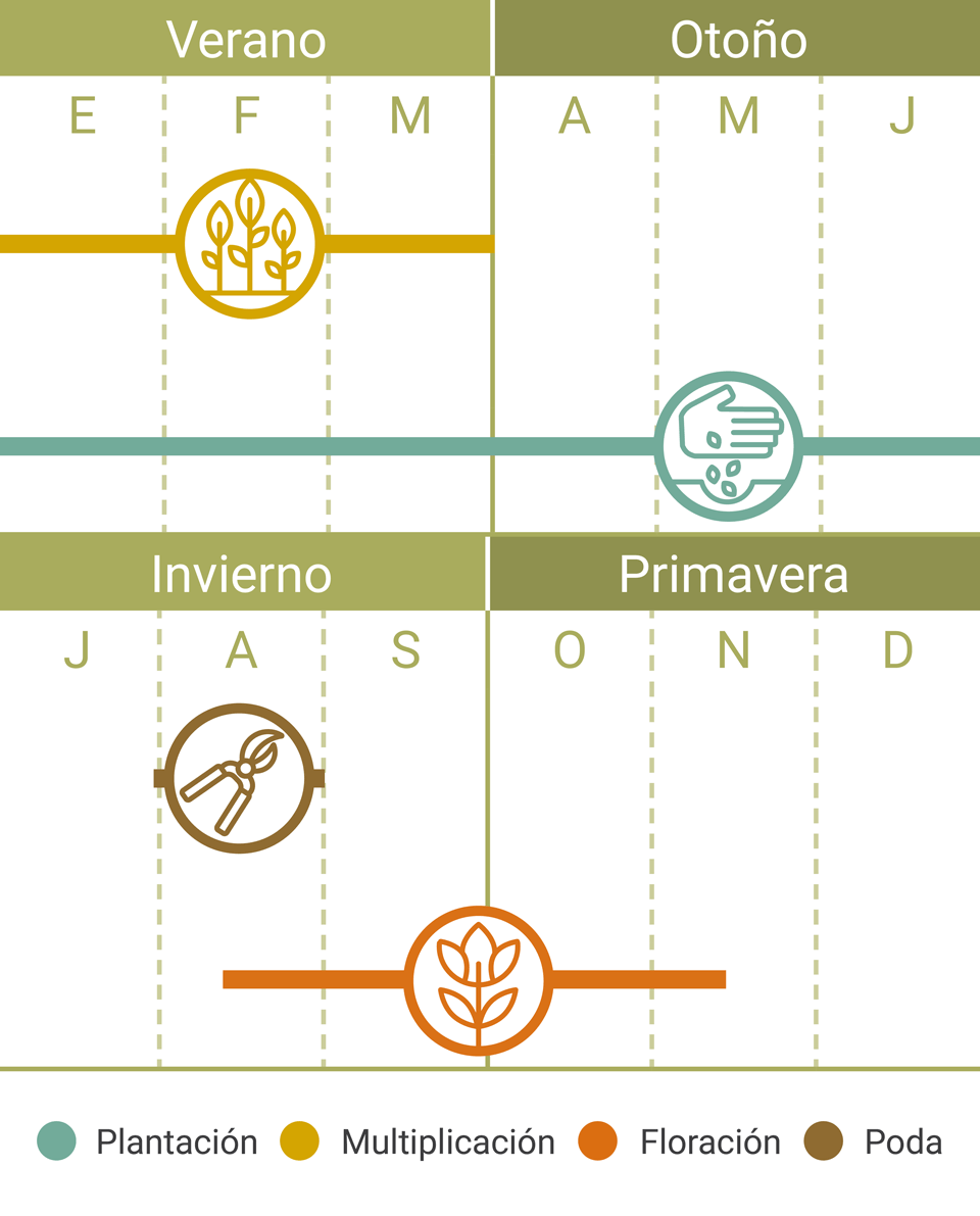 Calendario Tareas Corona del poeta