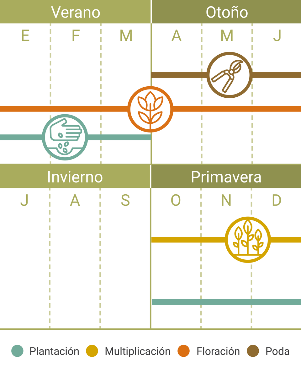 Calendario Tareas Crespón