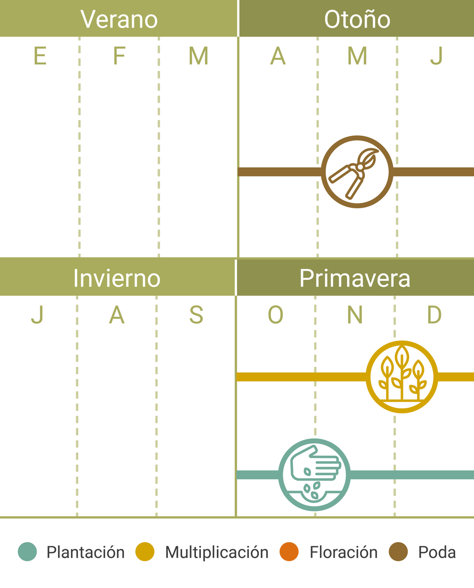 Calendario Tareas Elwoodii