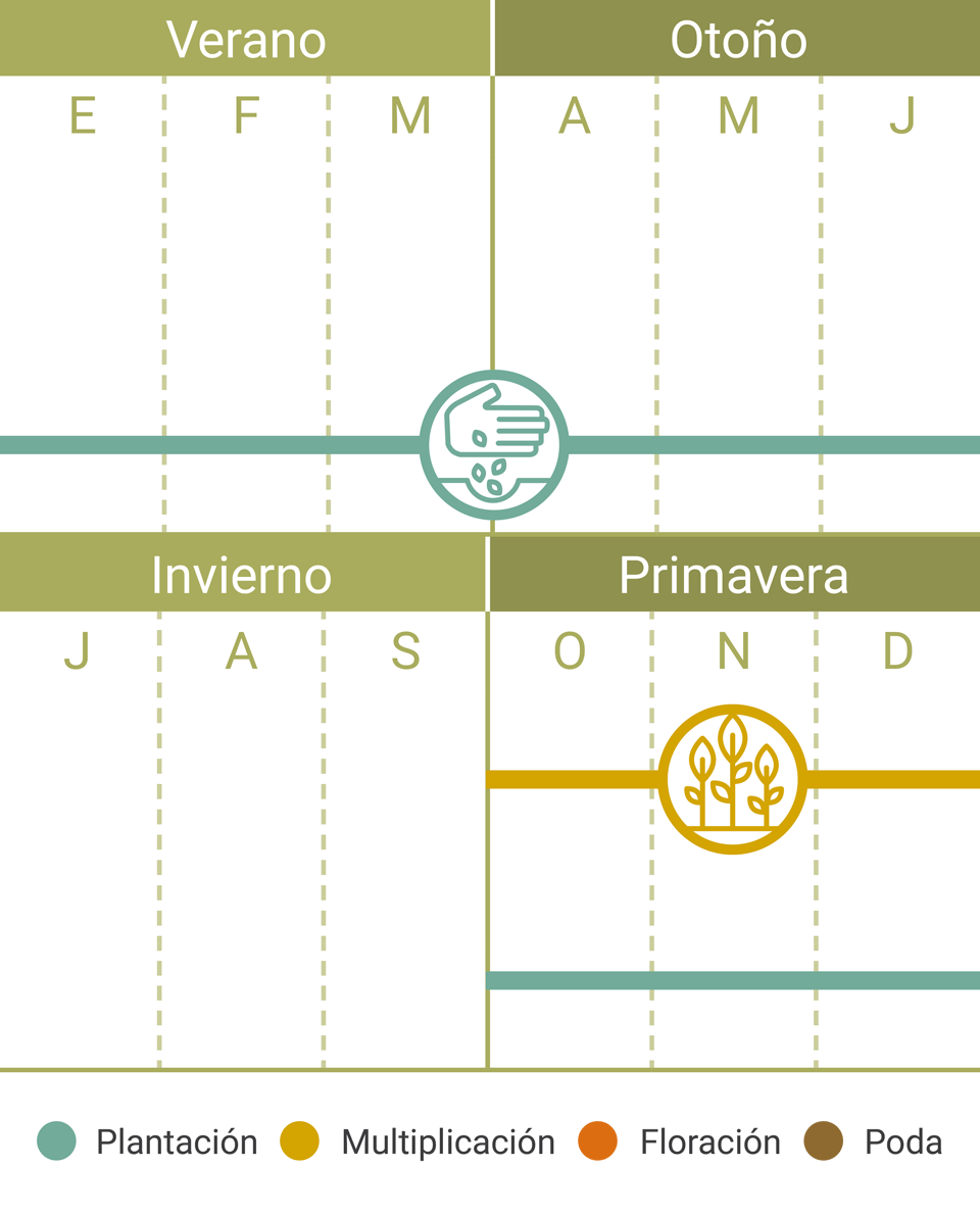Calendario Tareas Helecho