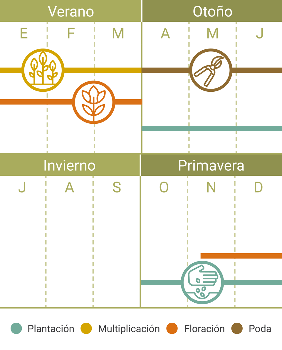 Calendario Tareas Lavanda