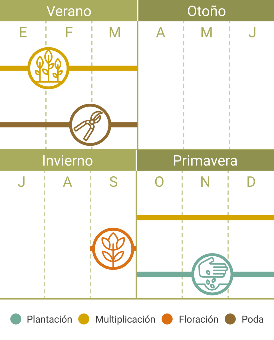 Calendario Tareas Magnolio