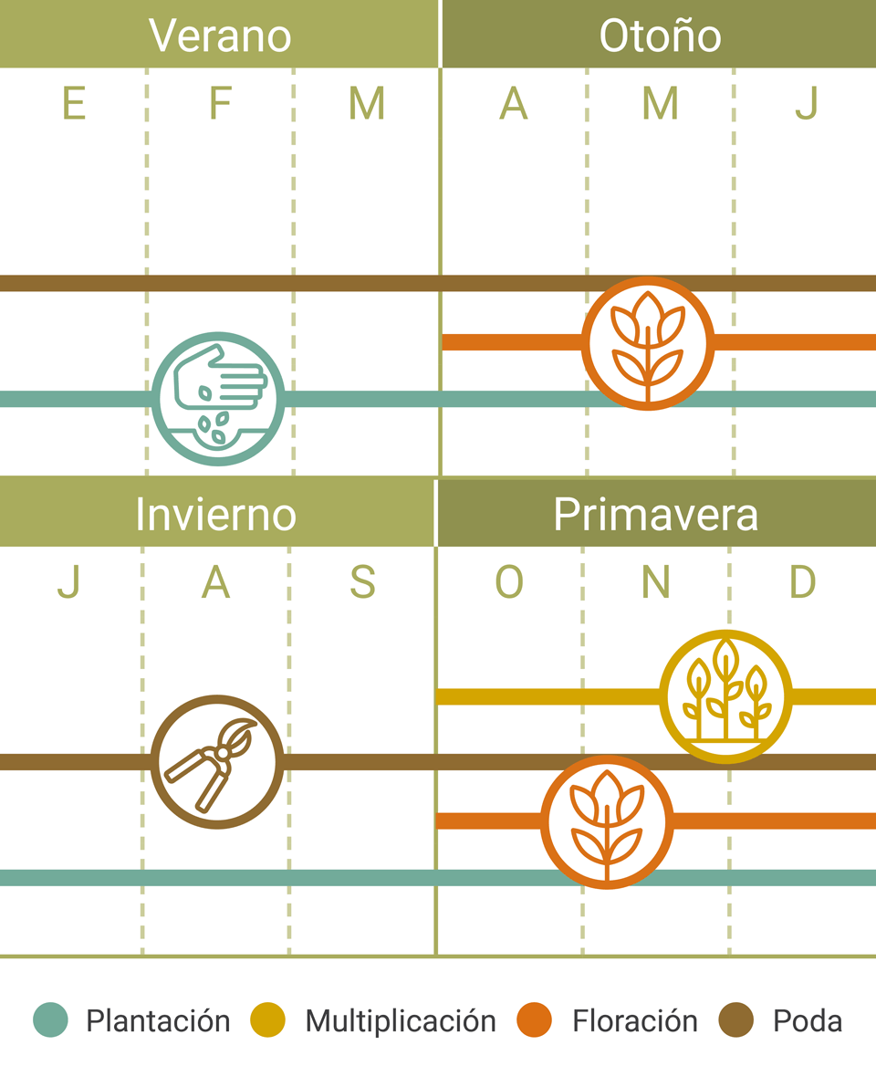 Calendario Tareas Romero