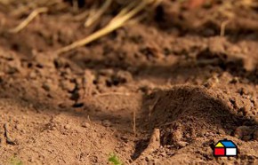 Cmo airear el suelo del jardn despus del verano?