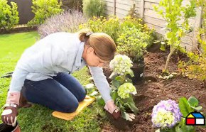 Cmo fertilizar el jardn para el verano?