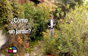 Cmo limpiar y recuperar un jardn?