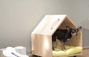 Construye un pequeo hogar para tu perro